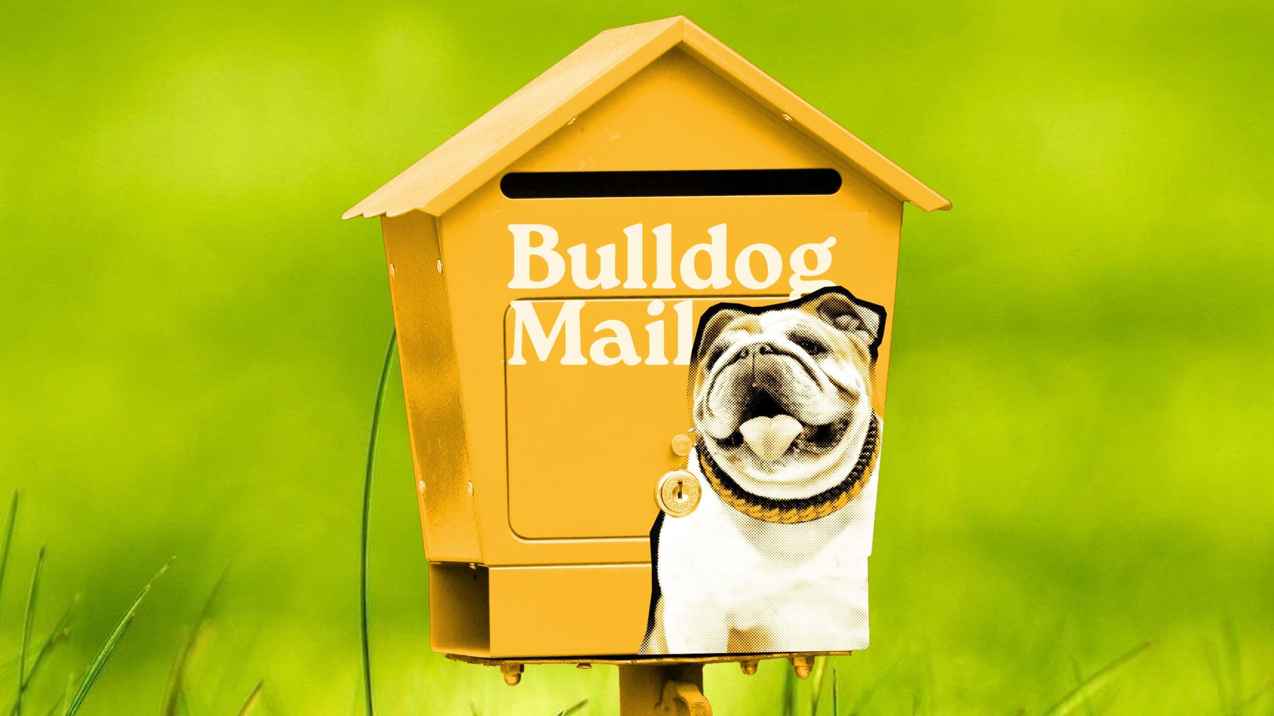 TLU bulldog mailbox