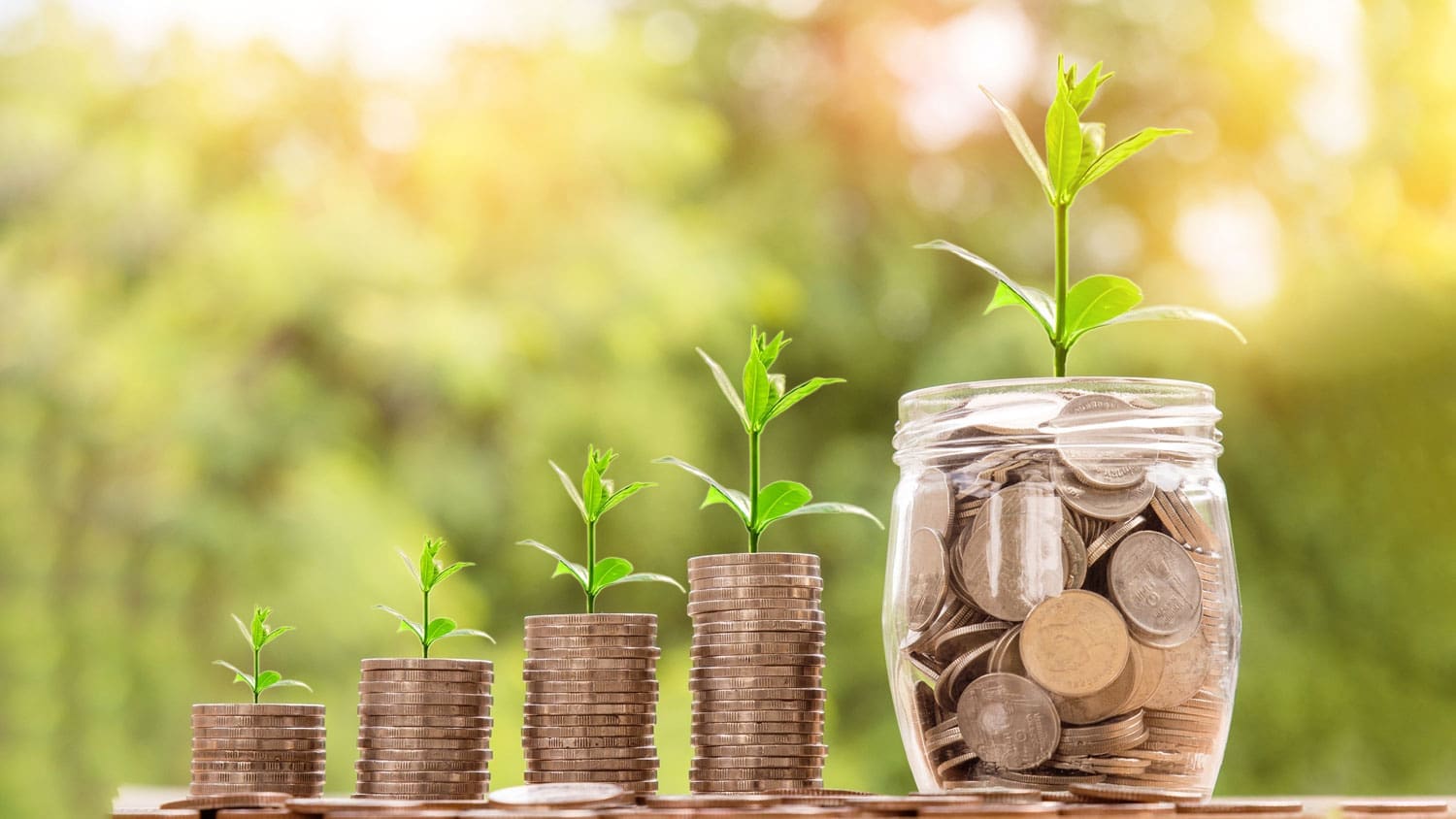 stacks of coins with plants growing from them