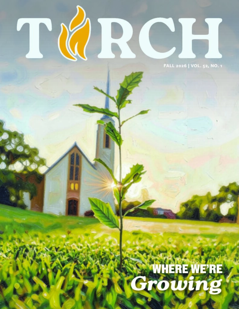 TORCH COVER