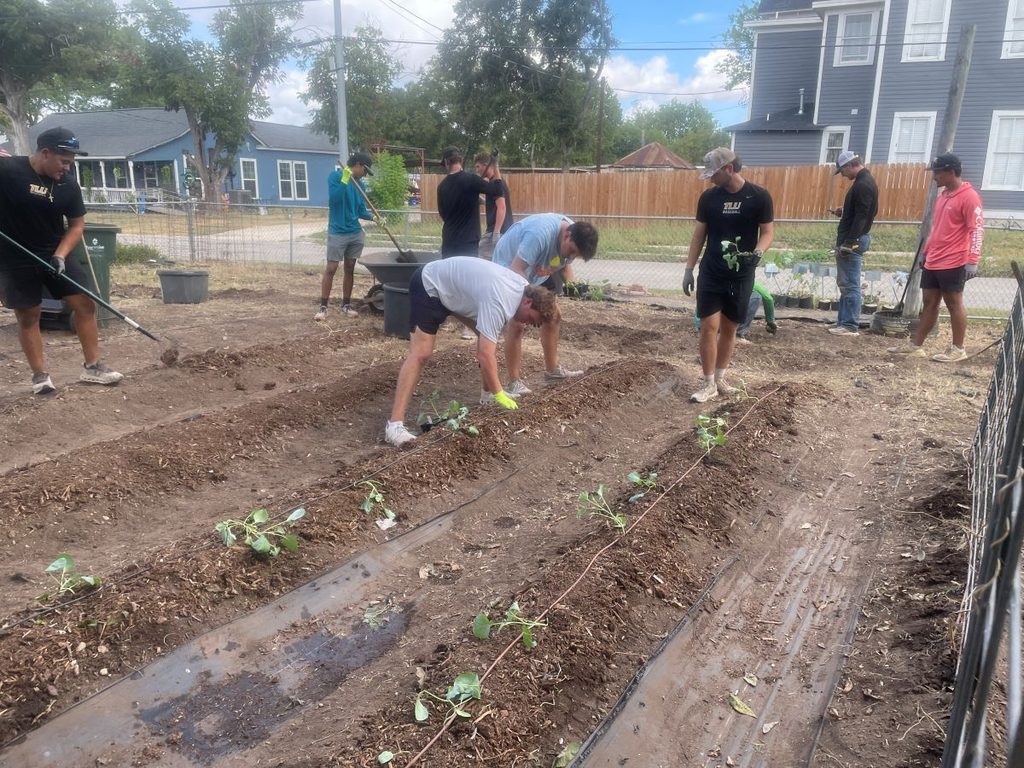 Students working in garden