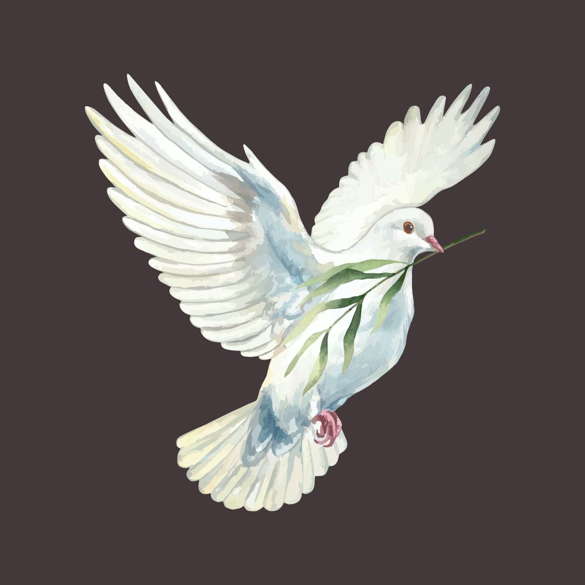 Dove